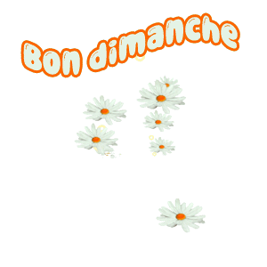 Gif Bon dimanche marguerites